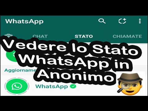 Conferma di lettura su WhatsApp: scopri come attivare lo stato e tenere traccia dei tuoi messaggi