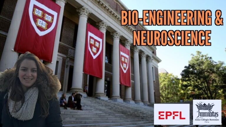 HARVARD UNIVERSITY: Cosa si studia nella prestigiosa istituzione?