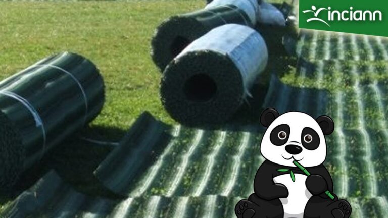 Riciclaggio e sostenibilità: soluzioni verdi per i parcheggi