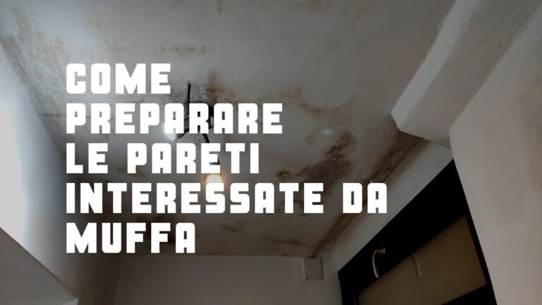 Trattamenti preventivi per preservare i muri: guida completa