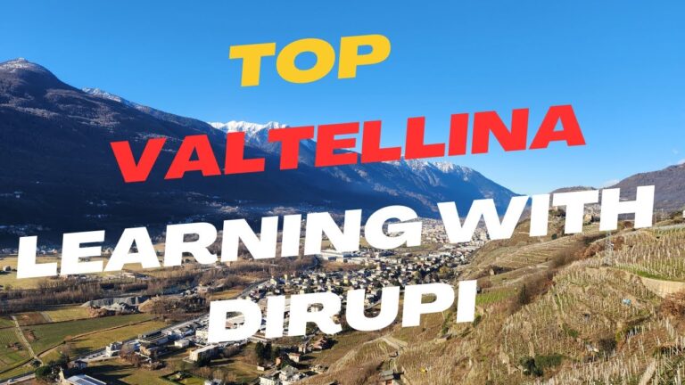 Vigneti: Il Fascino del Girovagare tra le Vigne