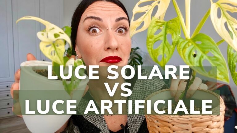Illuminazione Naturale vs Artificiale: Confronto Essenziale