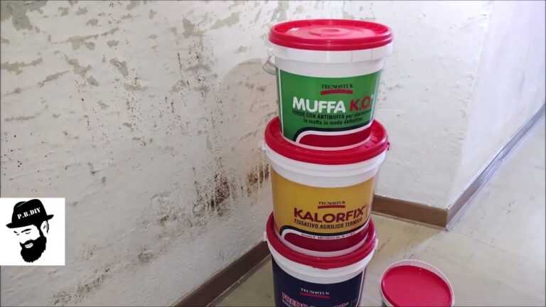Trattamenti anti-muffa per un tetto senza problemi
