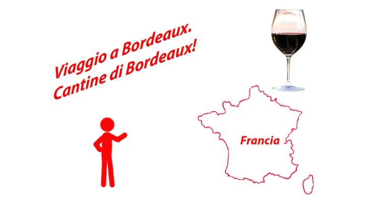 Viaggi enogastronomici per intenditori del vino