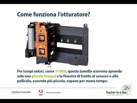 Sincronizzazione Flash: Guida alla Fotografia Digitale