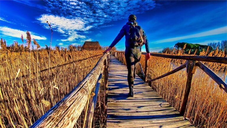 Escursioni panoramiche in bicicletta: scopri i migliori percorsi