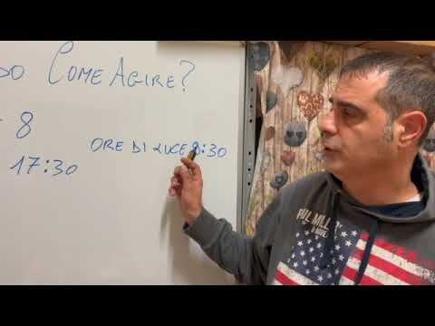 Guida per l’Utilizzo Corretto delle Luci Invernali