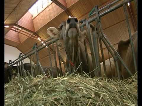 Creare un Ambiente Accogliente con Tessuti e Tessiture