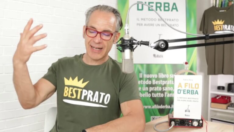 Trattamenti efficaci per il prato secco