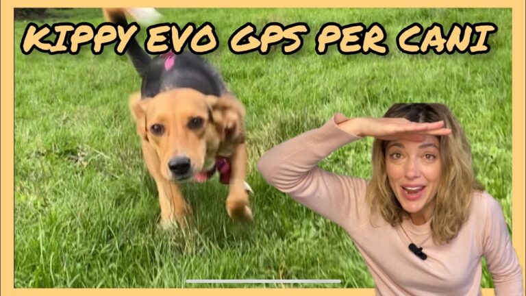 10 consigli per passeggiate notturne sicure